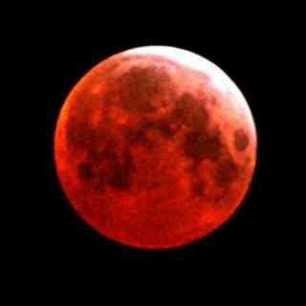 Meet your Posher, Betto